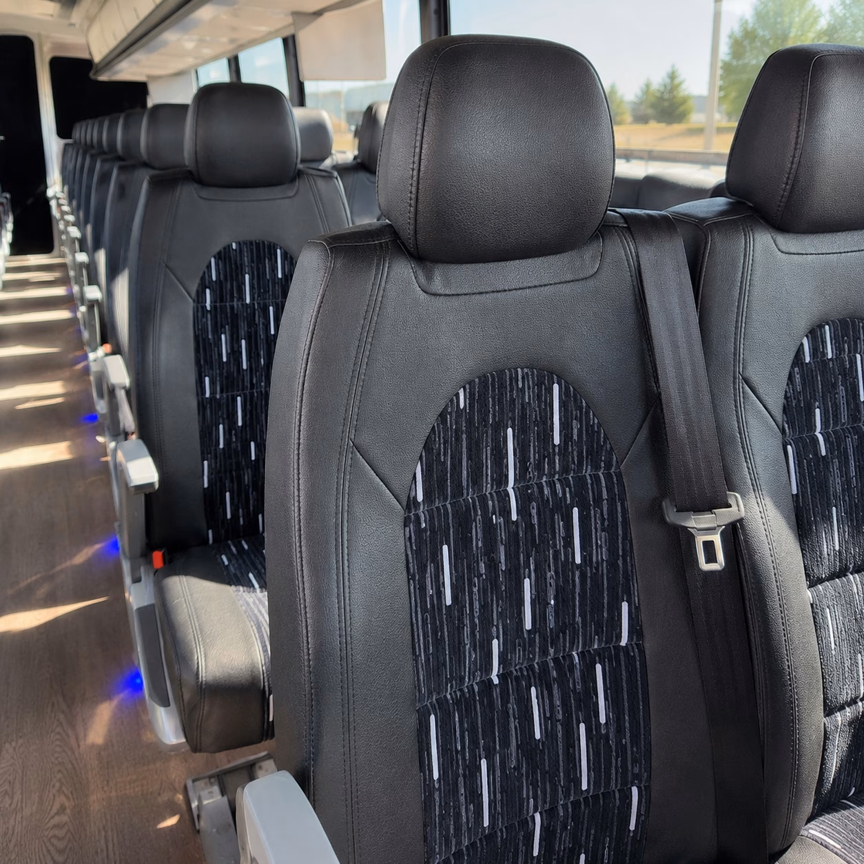 ogden charter bus rentals for science and nature field trips